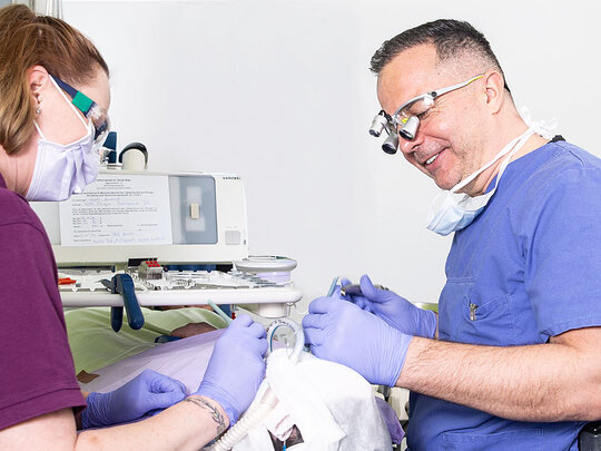 Zahnarzt mit Assistentin behandelt einen sedierten Patienten